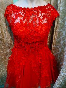 Red Lace Mini Dress
