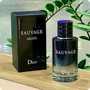 Dior Sauvage Perfume