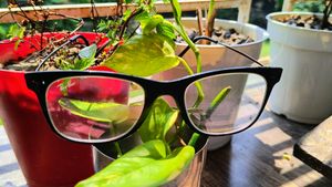 Ray-Ban Goggles