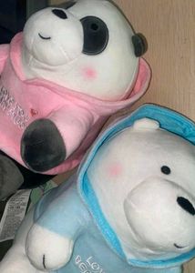 Cute Blusshy Panda