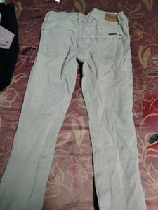 Pant
