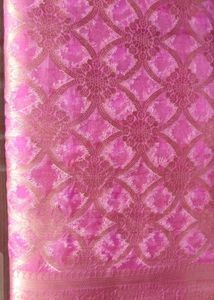 Organza Saree with Blouse