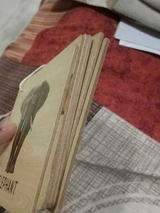 Educational Game For Kids