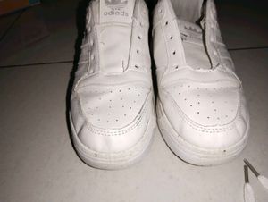 White Adidas Sneakers