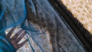 Georgette Frill Saree