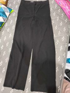 Formal Pant