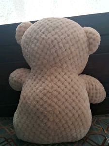 Cute Plush Teddy Bear