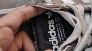 Real Adidas Shoes