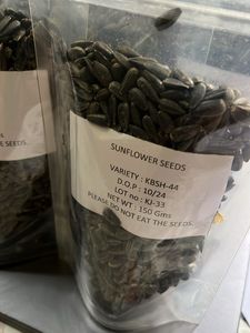 Hybrid Sunflower seeds for planting