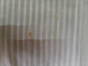 Striped Sleeveless Top