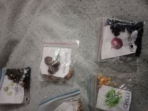 5 Vegetable Seeds