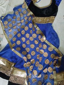Blue & Black Embroidered Anarkali
