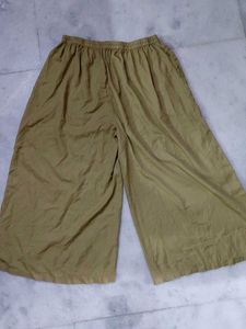 Olive Green Palazzos