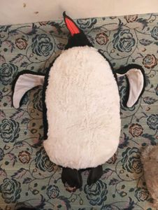 Emperor Penguin