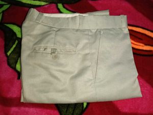 Elegant Beige Pants