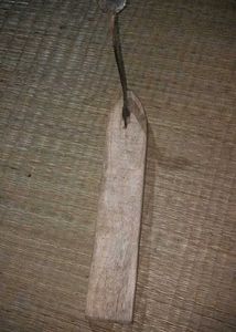 Coconut Shapnar