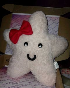 Star Stuffed Toy 🌟