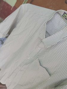 Old money Shirt
