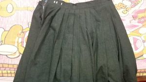 Korean Skirt And School Type Skir Combo