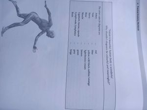 Completed Anatomy Practical Workbook For Reference