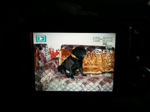 Fujifilm Vintage Camera