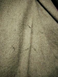 Brown Coat