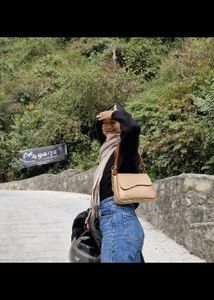 Stylish Beige Shoulder Bag Adjustable Strap
