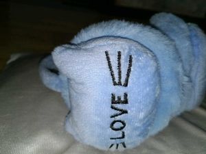 Blue Earmuffs