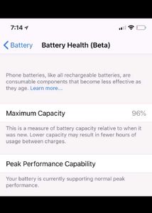 iPhone X - 100% Battery Health