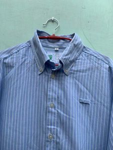 premium Striped Blue Shirt