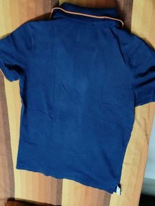 Teenie Weenie Women Blue Teddy Logo Polo T-shirt