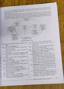 Full Marks Science Guide Class 8