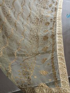 Dupatta Heavy Work Dress