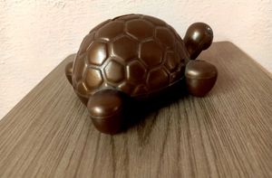 TURTLE Piggy Bank (COIN, CASH) Brown Colour