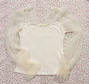 Sheer Sleeve Top