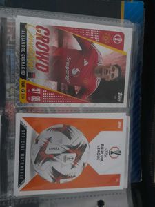 Crowd Of Connection And Football Cards