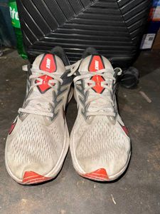 Nike Original Brand shies