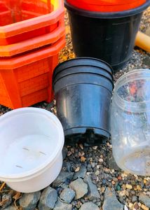 Plant Pot For Beginners