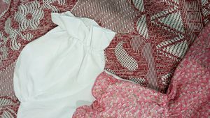 Korean Style Puffed Sleeves Top