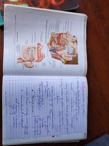 Guyton &amp; Hall Medical Physiology Textbook