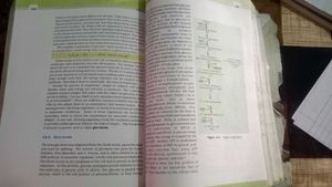 12th Biology Book