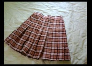 Pleated Skirt