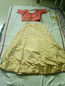 Embroidered Pink Blouse and lehenga