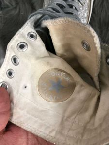 Sliver Converse