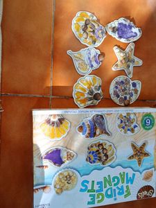 Shells Fridge Magnets