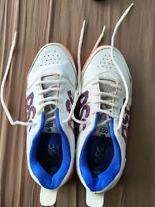 DSC Sports Shoes