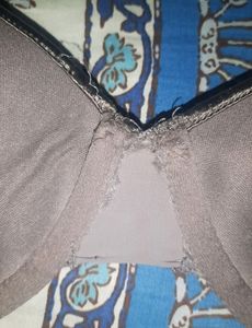 Bra Size 36D