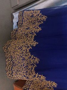 Elegant Blue &amp; Gold Embroidered Dress