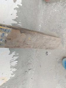 Cricket Bat