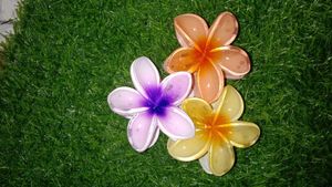 Flower Hair Claws
